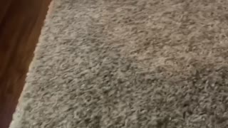 Sliding into Room Fail