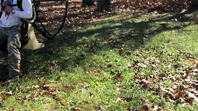 One Way to Rake Leaves