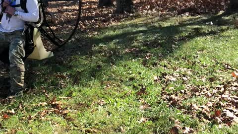 One Way to Rake Leaves