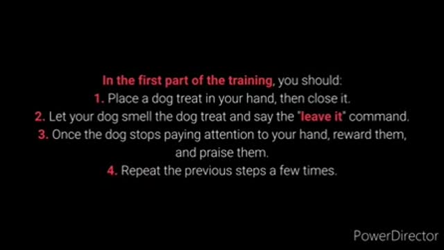 German Shepard Dog training video