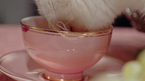 A Cat Licking On The Teacup Over The Table