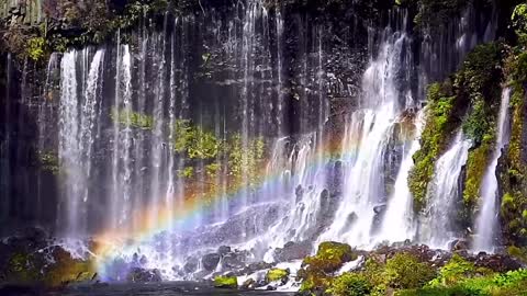 beautiful waterfall in nature