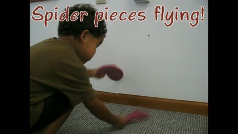 There's A Spider On The Floor!