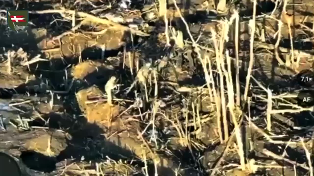 Russian Soldiers Beaten Back After Rushing Forward