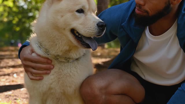 Cute husky With His Owner Chilling