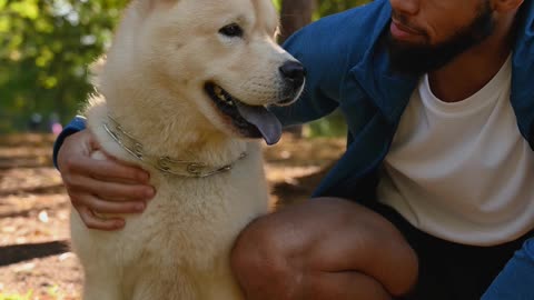 Cute husky With His Owner Chilling