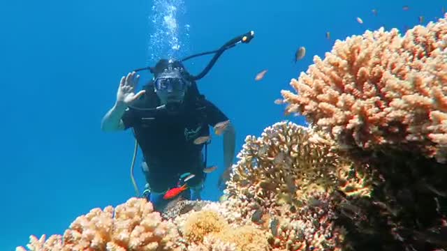 Diving in Egypt 2