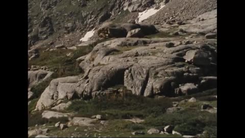 The Fountain of Life Rocky Mountain National Park