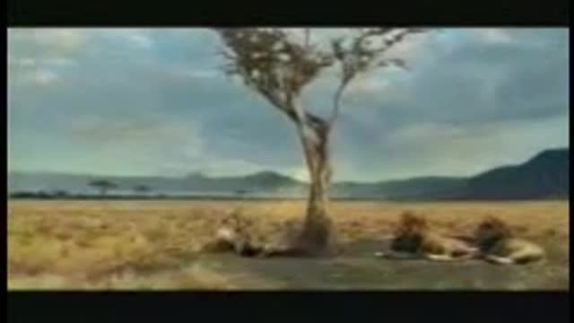 Try not to laugh