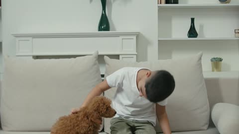 A Boy Petting His Dogs While Sitting in a Couch