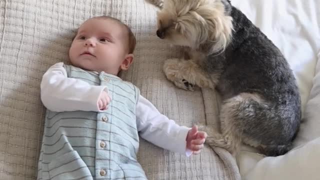 Very cute and sweet baby play with cute dog 🐶🐕🐶#short