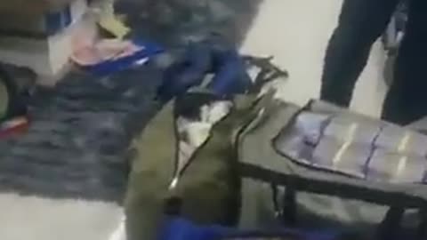 Kufry peněz nalezené revulucionáři v sídle prezidenta Gabonu