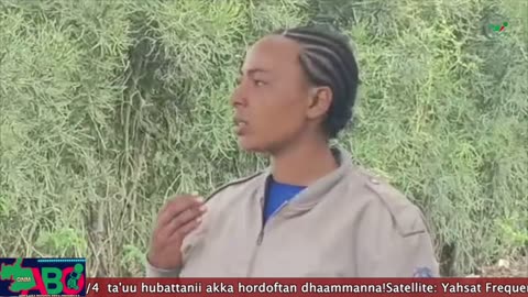 Oduu Waaree ONM-ABO Waxabajjii 27-2024 itti dhiyaadhaa!