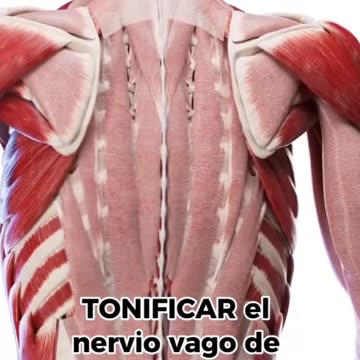Impacto Emocional sobre el cuerpo humano