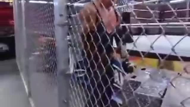 The DX Schown Michael and Triple H(MP4)
