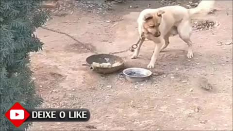 Não Mexa comigo kkkk