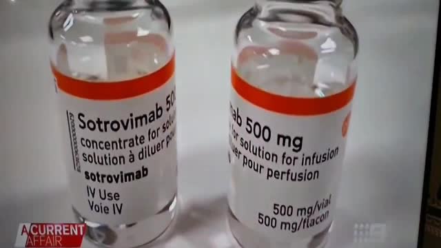Is the queen taking Ivermectin?
