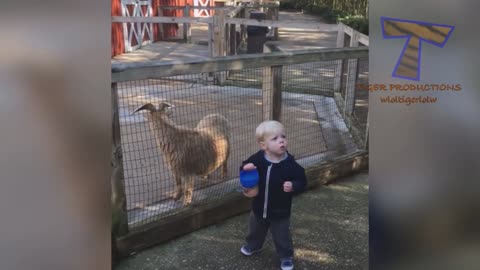 Kids and birds playing in funny mood