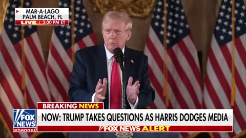 Trump : Harris honeymoon period is about to end