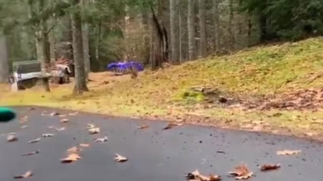 Hahahaha wait for end .......