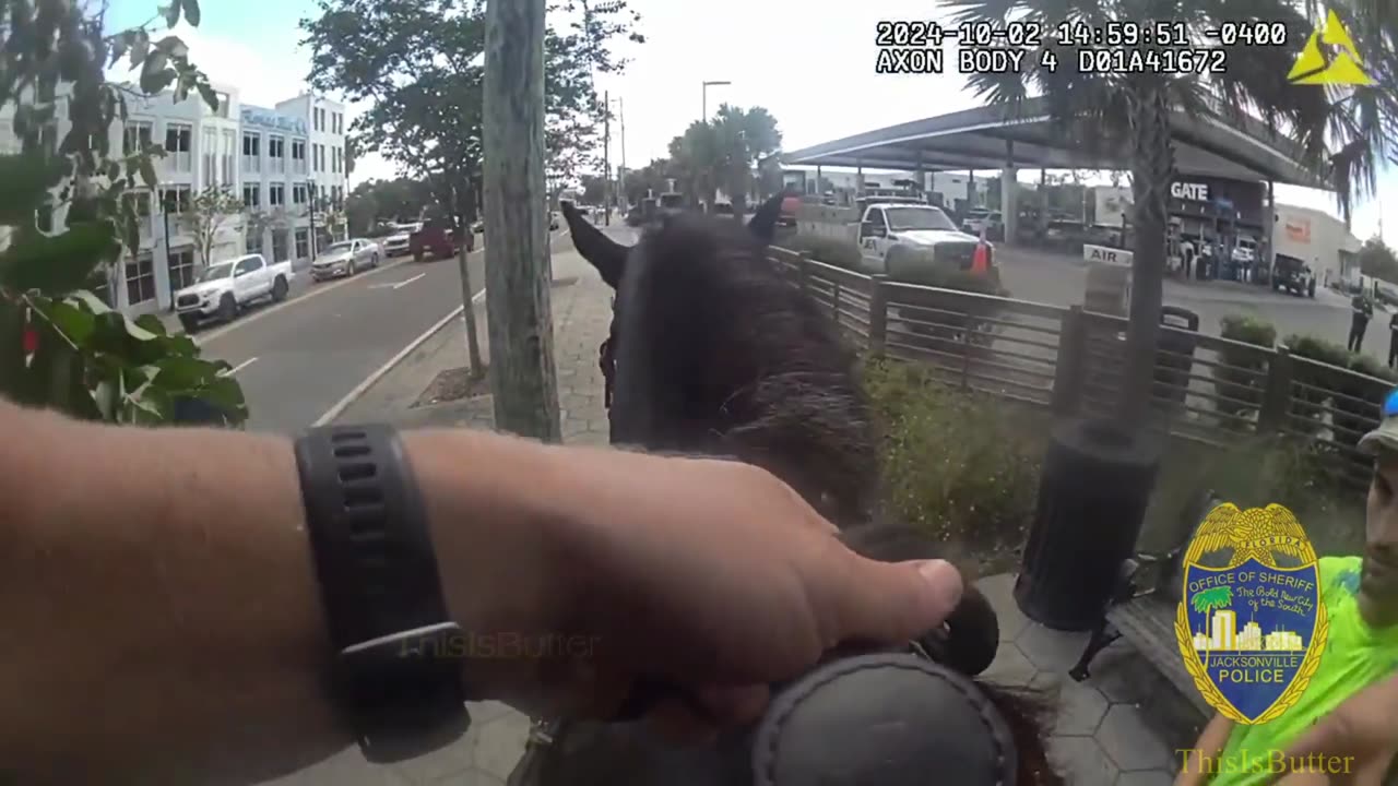 Bodycam shows Jacksonville Sheriffs officer with his mounted partner arresting a man in Riverside