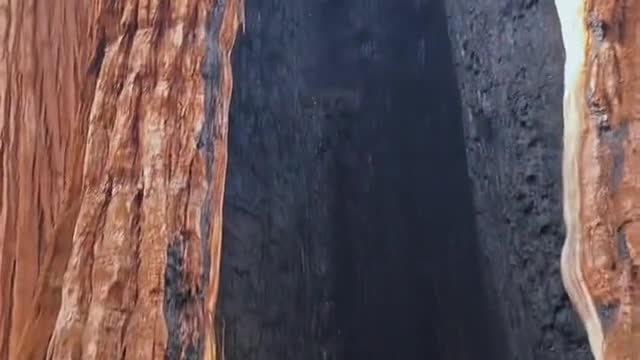 Secret tree hole