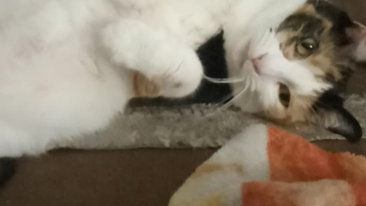 Pretty Patches