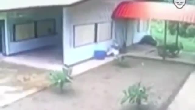 Ο ΛΗΣΤΗΣ ΤΗΣ ΧΡΟΝΙΑΣ.