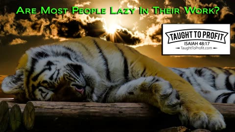 Are Most People Lazy In Their Work？ Are You Lazy？ You Might Be And Not Realize It!