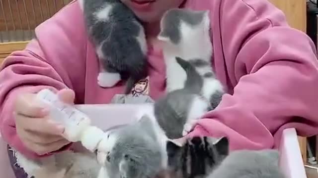 Cute little animals like it574