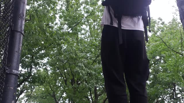 Park pullups