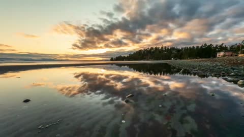 Copyright free nature video | no copyright music forest | copyright free music .