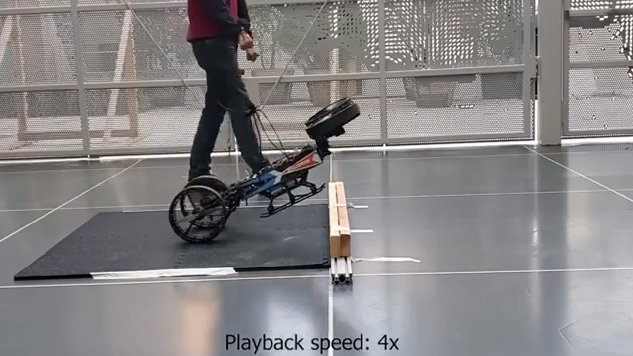 science Project of the year