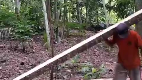 Traditional Sawmill from Indonesia Part 2