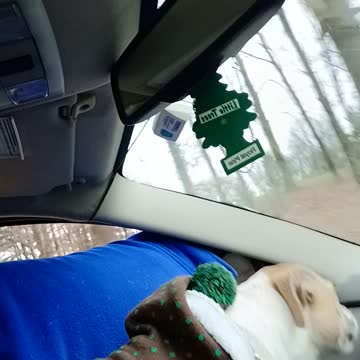 Anticipation: To the Park