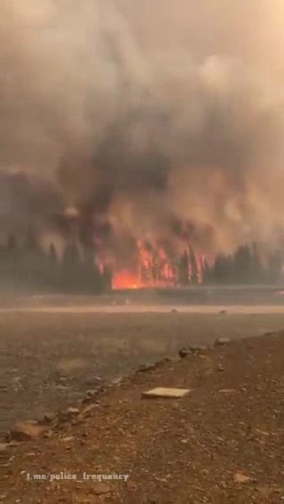 More footage and damage coming out from Dixie Fire and lots of damage sustained.