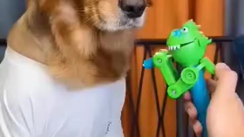 won't bite| funny dog videos