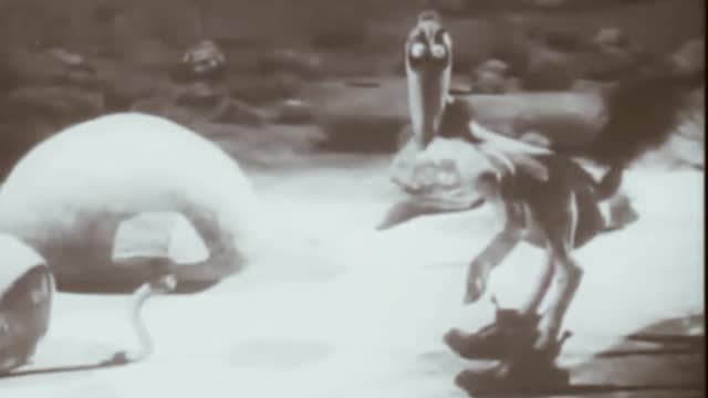 It's a bird 1930 video