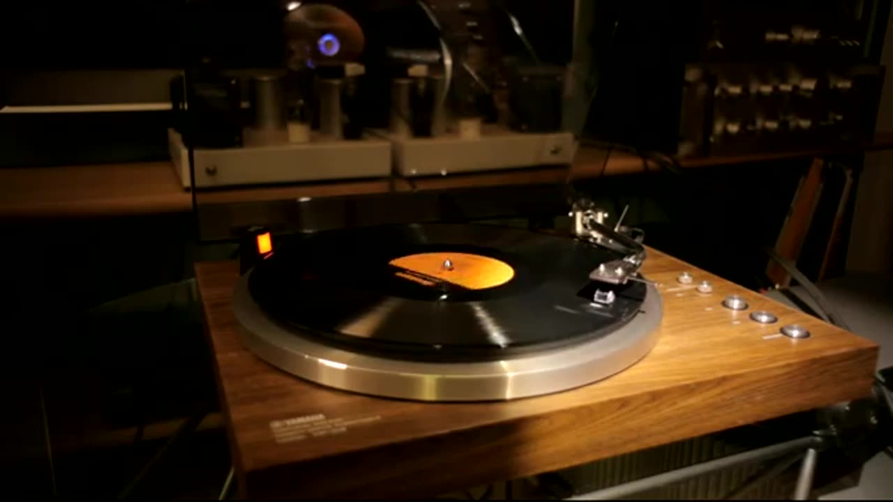 Dean Wareham & Britta Phillips ~ Ginger Snaps