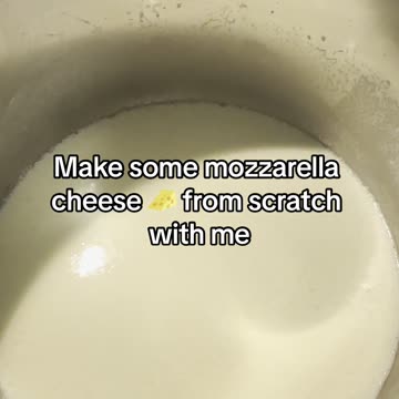 Make mozzarella cheese from scratch with me :) #mozzarella #foodfromscratch #homestead #meat