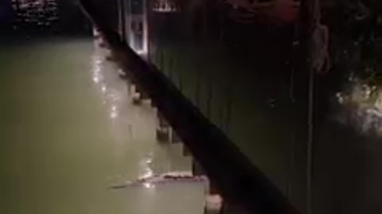 Saw a crocodile swimming pass our restaurant while in cancun