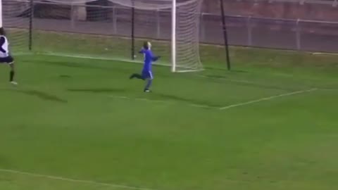 World Cup Highlights