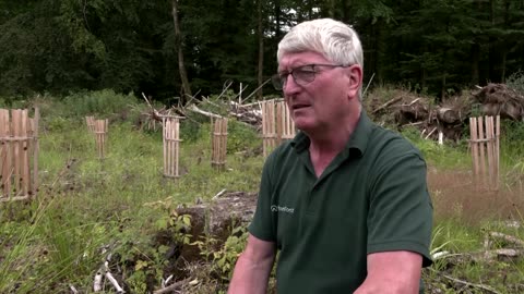 German forest ranger aims to outsmart drought