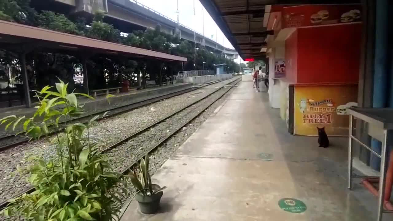 PNR Train during pandemic (Metro Manila, 2022)