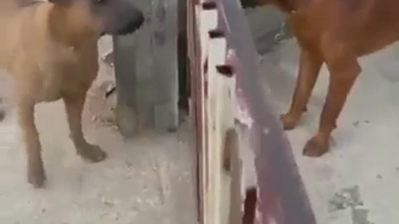 Interesting argument