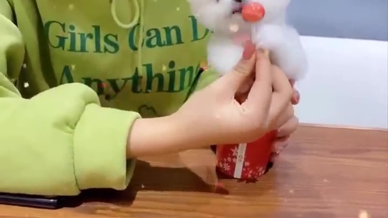 Cute and funny cat video 📸📸