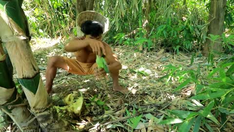 Survival In The Rainforest - BAMBOO SHOOTS - CUTE PARROT - BEES