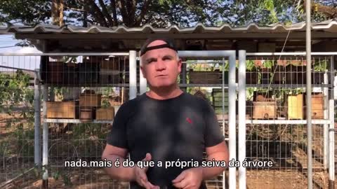 Meliponário da Policia Militar do Estado de São Paulo