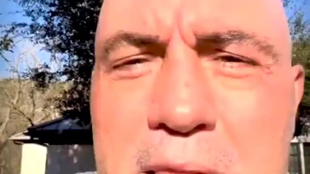 Joe Rogan Response