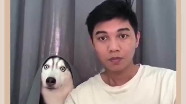 Funny dog 🤣 shorts E:p1